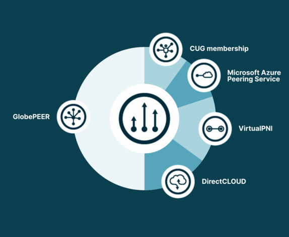 interconnectionflex visual 3