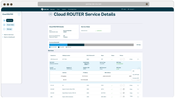 Cloud Router ARP table