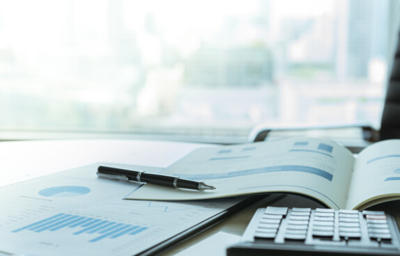 Annual report header